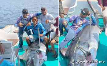 Júbilo por captura de gran marlin negro en Manzanillo - Big Fish