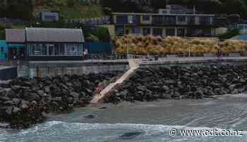 Council to build new stair access for St Clair beach - Otago Daily Times