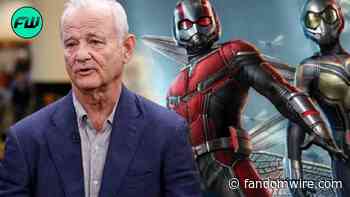 Hollywood Legend Bill Murray Confirms MCU Villain Role in Ant-Man 3 - FandomWire