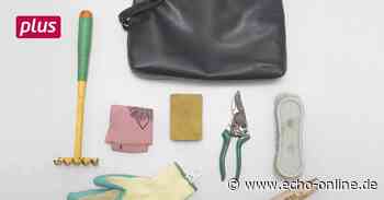 Raunheim: Verlorene Dinge künftig im Netz - Echo Online