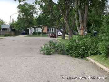 Weyburn, southeast bracing for big winds - DiscoverWeyburn.com
