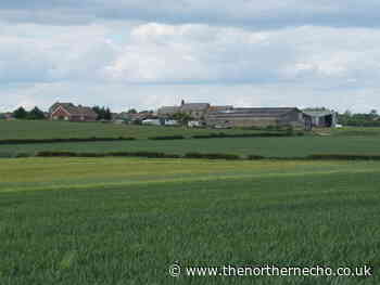 County Durham farm with 180-acres to become forest land after £850,000 sale - The Northern Echo