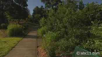 Larry Stogner's honored with a landscaped garden in Durham's Sandy Creek Park - WTVD-TV