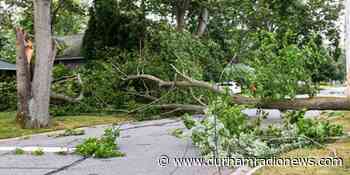 Hydro crews in Durham inching closer to fully restoring power following severe storm - durhamradionews.com