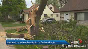 Residents in Durham Region continue to clean up after severe storm | Watch News Videos Online - Global News