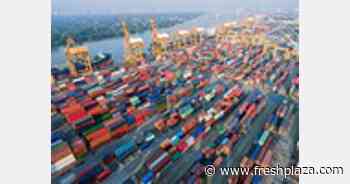 Container shipping situation worsens - FreshPlaza.com