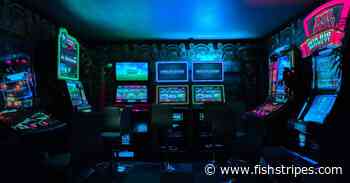 Playing Games for Free at Top Online Casinos - Fish Stripes