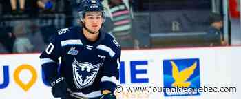 Joshua Roy et le Phoenix de Sherbrooke en vacances
