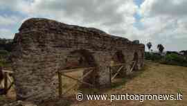 Riapre al pubblico l'Anfiteatro cumano a Bacoli - Punto Agro News.it