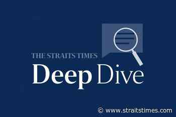 ST Deep Dive: Limits of Sino-Russian concord; Himalayan blunder - The Straits Times
