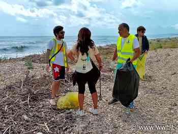 Operazione spiagge pulite a Pineto (Teramo) - WWF Italia