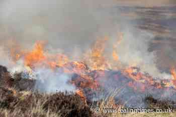 Protected peatland sites burned on grouse moors, campaigners claim - Ealing Times