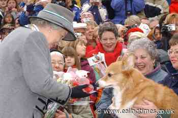 Queen's favourite corgi breed now 'beloved' nationwide, says The Kennel Club - Ealing Times
