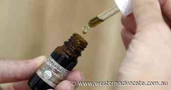 Taking CBD oil and driving 'safe': study - Western Advocate