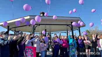 Bathurst vigil marks one year since Madison Roy-Boudreau's disappearance - CBC.ca