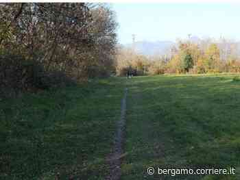 Seriate-Pedrengo, una nuova ciclabile nel verde - Corriere Bergamo - Corriere della Sera
