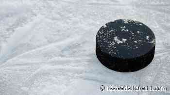 Minnesotans dominate U.S. U-18 Women's National Hockey Team roster