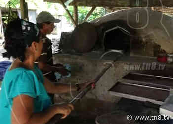 Exitoso negocio de rosquillas en La Paloma, Moyogalpa - TN8