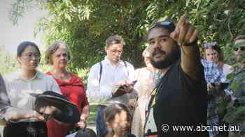 Traditional owners detail the impact of climate change during Waratah Coal challenge