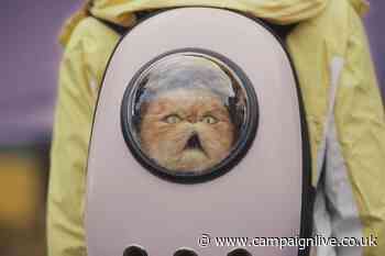 Ribena centres £7m campaign on awkward moments