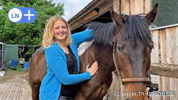Ratekau: Physiotherapeutin behandelt Pferde wie Tamme Hanken - Lübecker Nachrichten