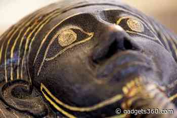 Treasure Chest of Ancient Mummies, Bronze Statuettes Discovered in Egyptian Necropolis