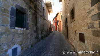 Frantoi in Festa: la festa dell'olio e della biodiversità in Tuscia