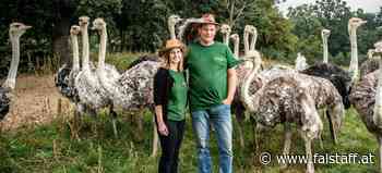 Local Exotics: Made in Austria