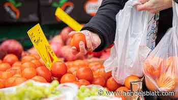 Preise: Rekordinflation im Euro-Raum – Preise steigen um 8,1 Prozent