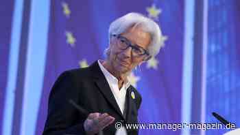 Inflation in der Eurozone steigt im Mai auf 8,1 Prozent