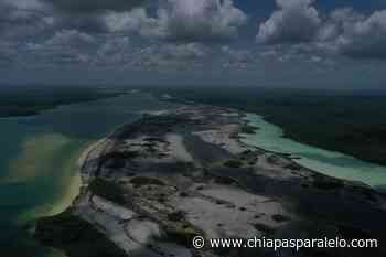 Microbialitos de Bacalar: organismos milenarios que buscan sobrevivir al daño ambiental - Chiapasparalelo