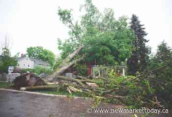 Heritage area of Aurora hard hit by powerful storm - NewmarketToday.ca