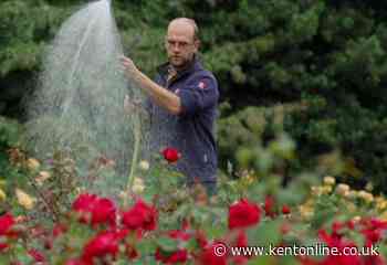 Royal gardener recalls chats with Queen at palace - Kent Online
