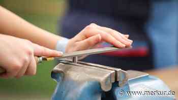Eltern treffen Chefs aus dem Landkreis Starnberg virtuell - Merkur.de
