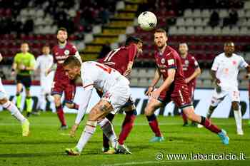 Cittadella, Marchetti: "Bari, Genoa e Cagliari delle corazzate, anno prossimo sarà più difficile" - La Bari Calcio