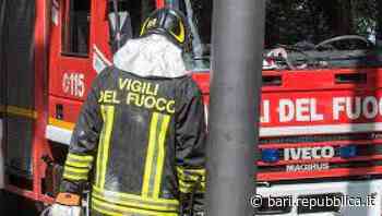 Incendio in un appartamento a Bari, morti due cani - La Repubblica