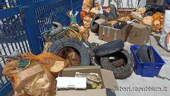 Nel mare di Mola di Bari la gara degli "spazzini" in apnea: raccolti 1.680 chili di rifiuti tra plastica, copertoni, batterie - La Repubblica