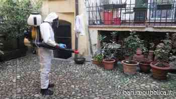 Bari, sanificazione antiblatte: stangata da 400 euro per i condomini che non provvedono - La Repubblica