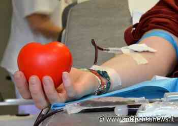 Gli studenti di Gallarate e Cardano in visita alla sede Avis con Oreste Castagna - MalpensaNews.it