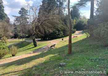 Tre incontri per ripensare il verde di Gallarate - MalpensaNews.it