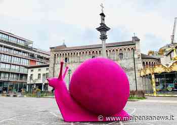 La Cracking Art irrompe a Gallarate con i suoi animali colorati - MalpensaNews.it