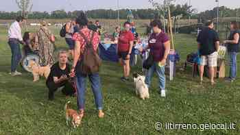 Nuovo look, eventi e... autogestione nel centro cinofilo di Pontedera - Il Tirreno