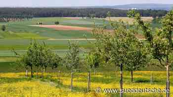 Umwelt - Hilpoltstein - Tag der Streuobstwiese: Lebensraum für gefährdete Vögel - Bayern - SZ.de - Süddeutsche Zeitung - SZ.de