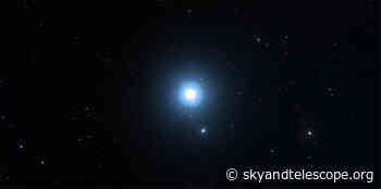 Meet Denebola, and Catch a Lion by the Tail