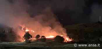 Incendio doloso in parco Crotone, appiccato in tre punti - Agenzia ANSA