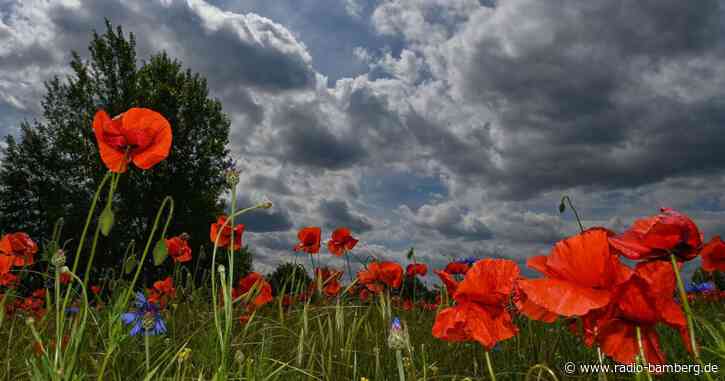 Der Sommer kommt erst ganz allmählich