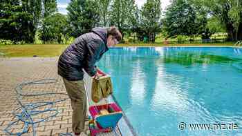 Freibäder im Kreis Wittenberg starten in die Saison - Mitteldeutsche Zeitung