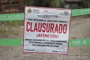 Clausuran establo en Misantla – El Democrata - El Demócrata