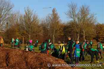 Taxi app riders raise money to plant thousands of trees