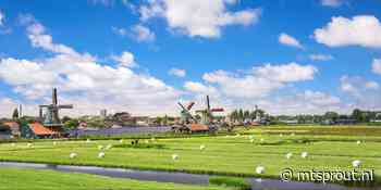 Startups halen recordbedrag op in eerste kwartaal – Hiber overgenomen - MT/Sprout